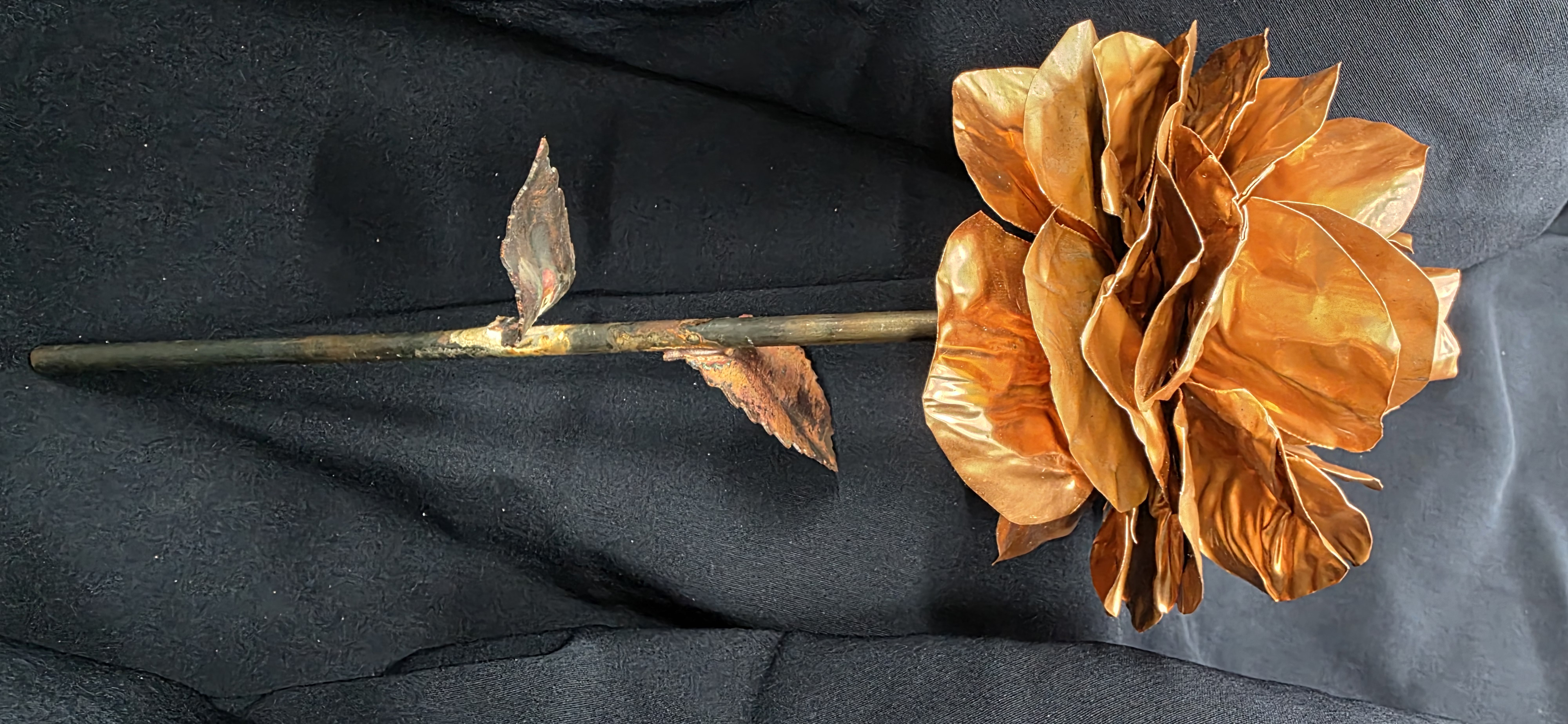 /uploaded_files/media/gallery/1750904258Rose 3.jpg